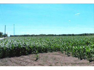 122+/- Acre parcel of land with 56+/- tillable, 65+/- woods, and pasture land plus a small creek running through property.

The cell tower is not included with this farm.
 - Tillable Land, Recreational Land, Woods, Pasture Land & Small Creek